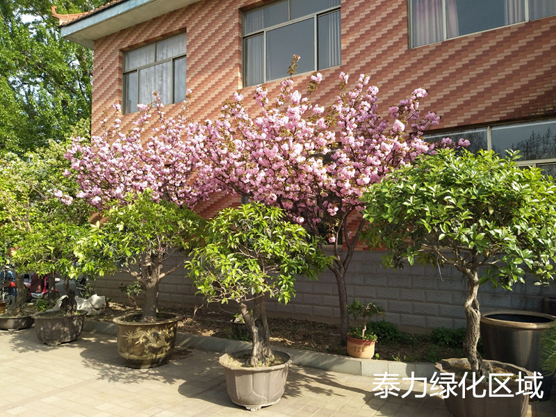 辦公區(qū)